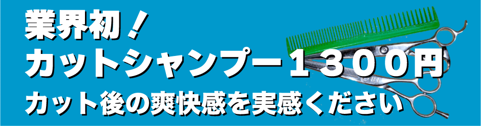 カットシャンプー1300円